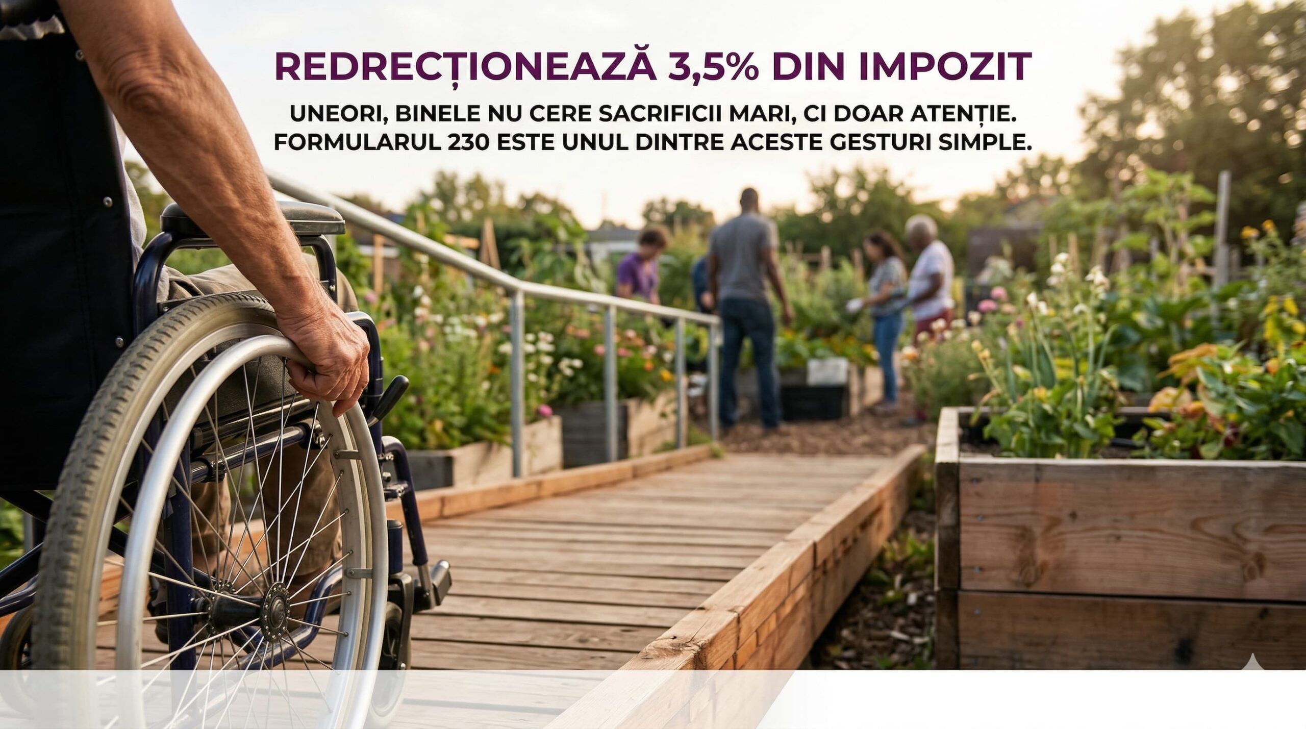 Ghid rapid per completarea Formularul 230 online